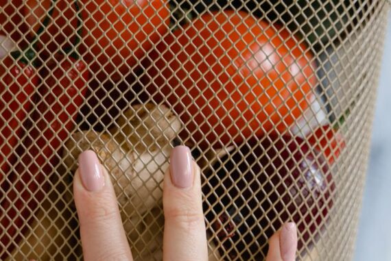 Budget alimentaire 2026 : manger sainement sans se ruiner